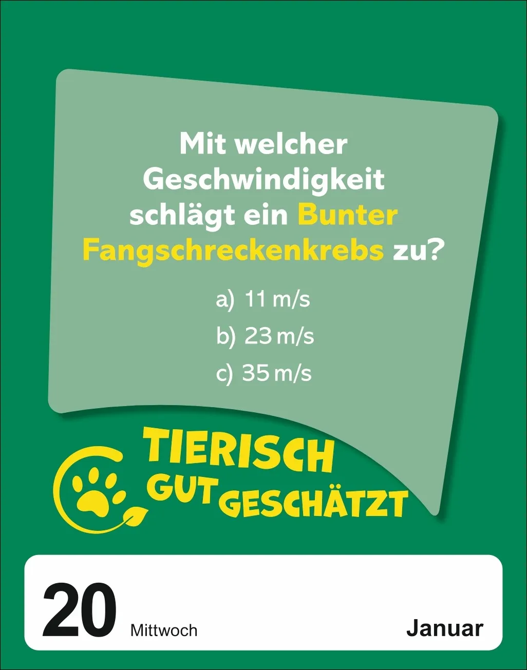 Was schätzt du denn? Tagesabreißkalender 2027 – Bild 10