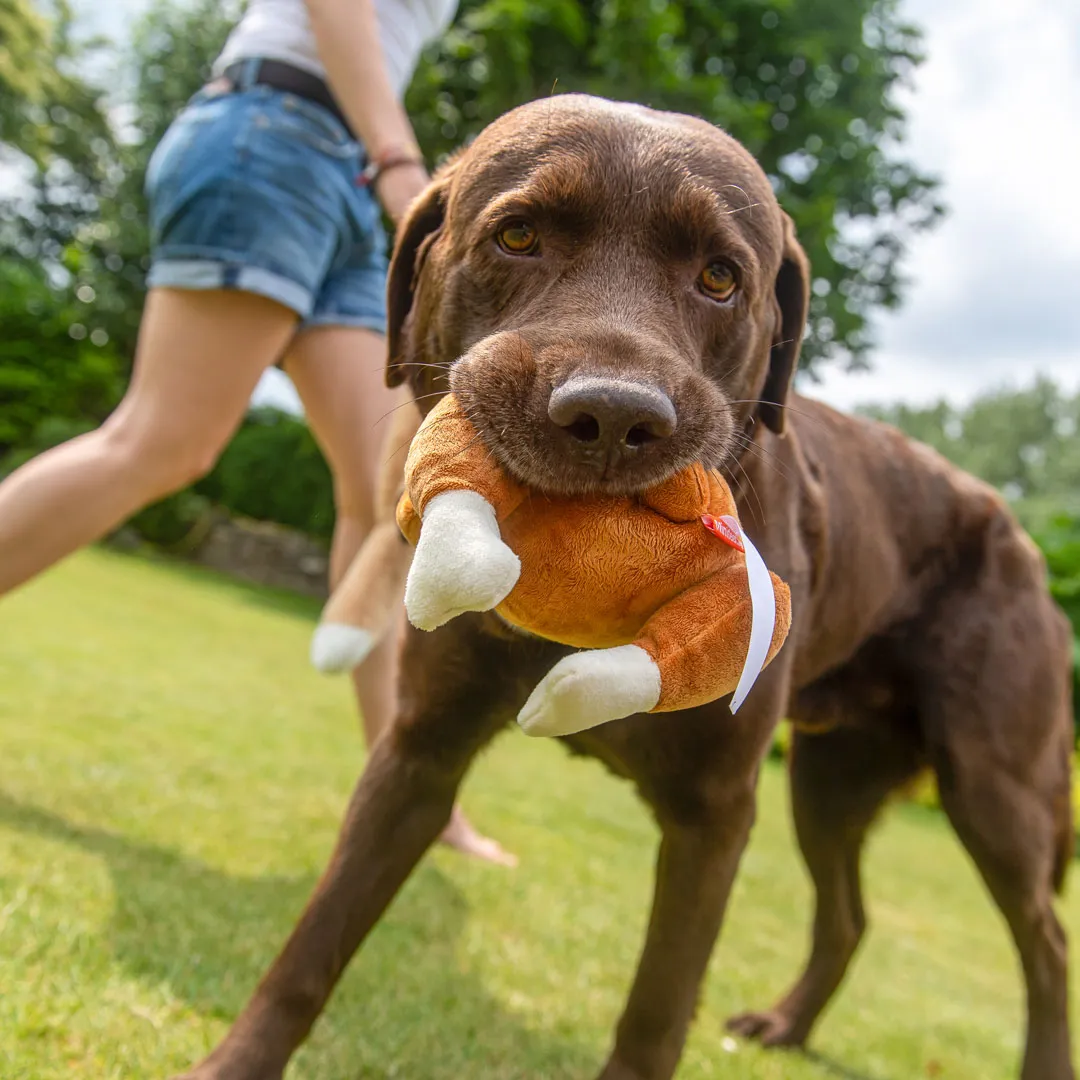 Hundespielzeug Hähnchen, braun – Bild 5