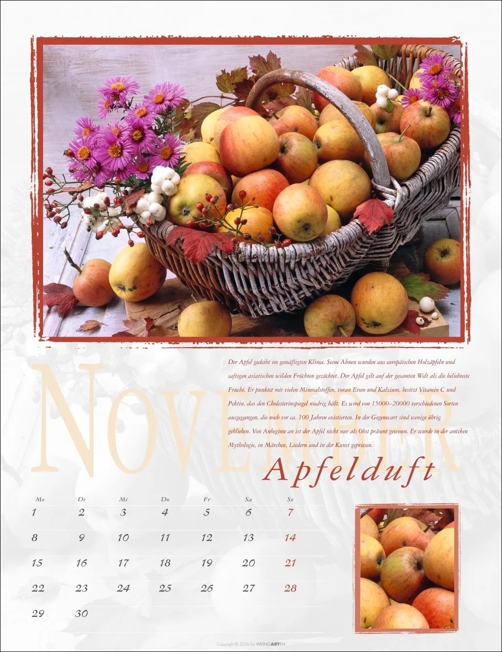 Duftkalender 2027 – Bild 12