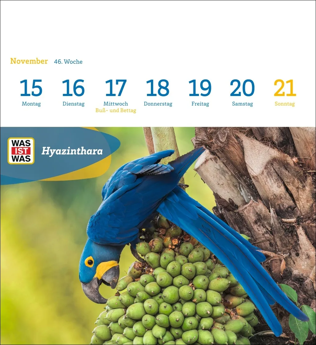 WAS IST WAS Geniale Tiere Postkartenkalender 2027 – Bild 8