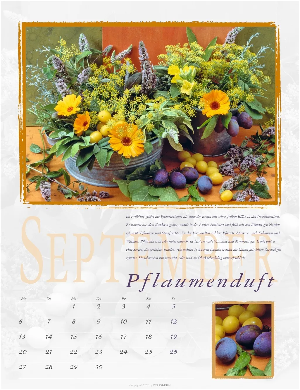 Duftkalender 2027 – Bild 10