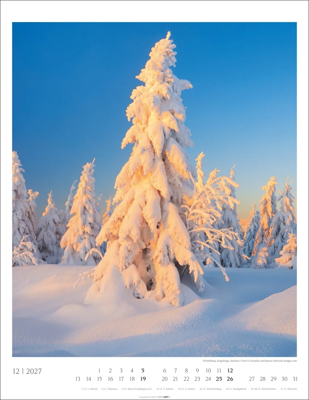 Heimische Wälder Wandkalender 2027 – Bild 13
