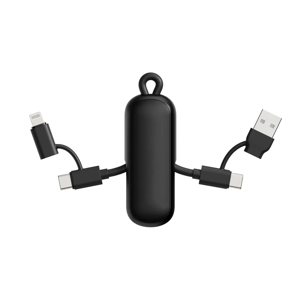 Urban Vitamin Dublin 100W 4-in-1-Kabel am Schlüsselanhänger