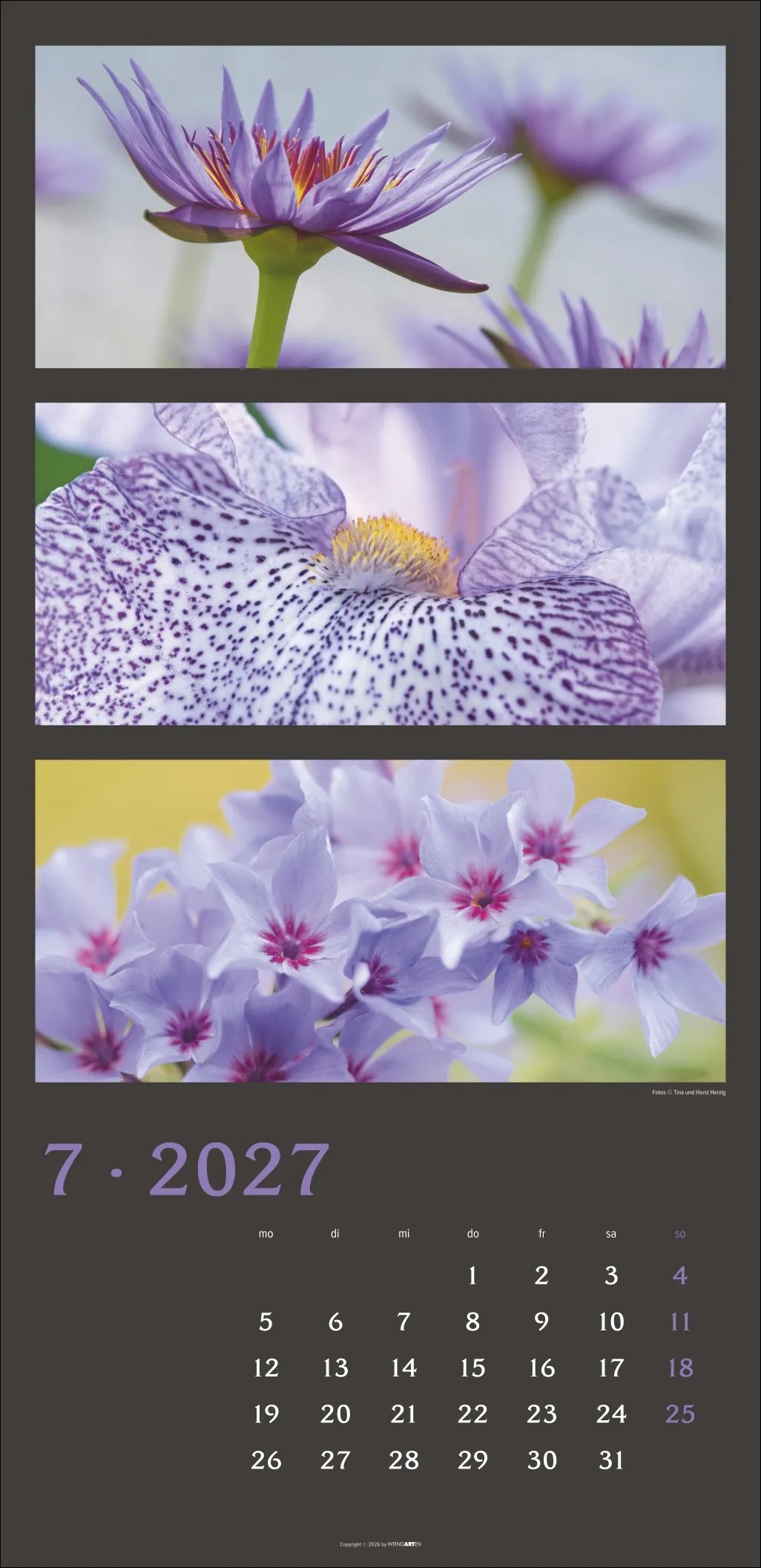 Die Farben der Natur Wandkalender 2027 – Bild 8