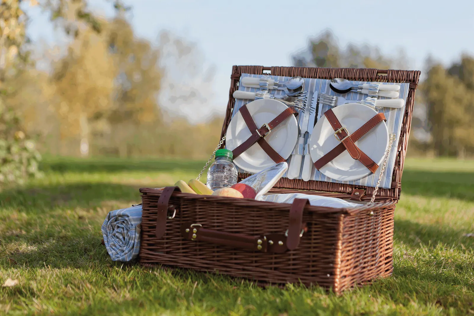 MADISON PARK - Weiden-Picknickkorb beige, blau, braun, beige, blau – Bild 13