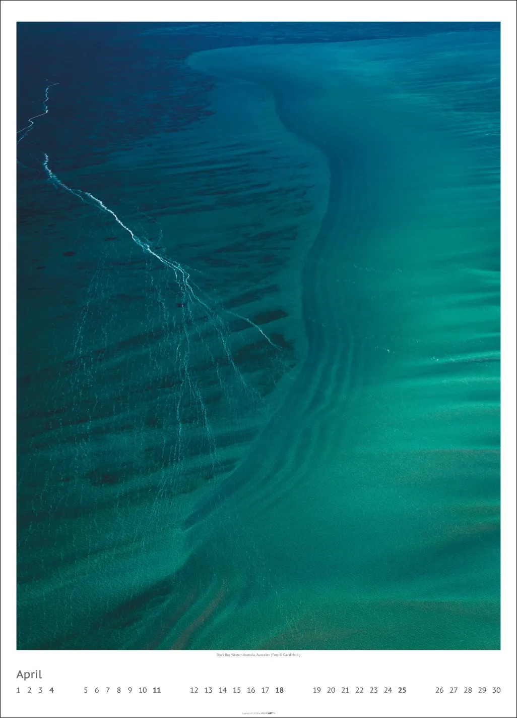 Art of Nature Wandkalender 2027 – Bild 5