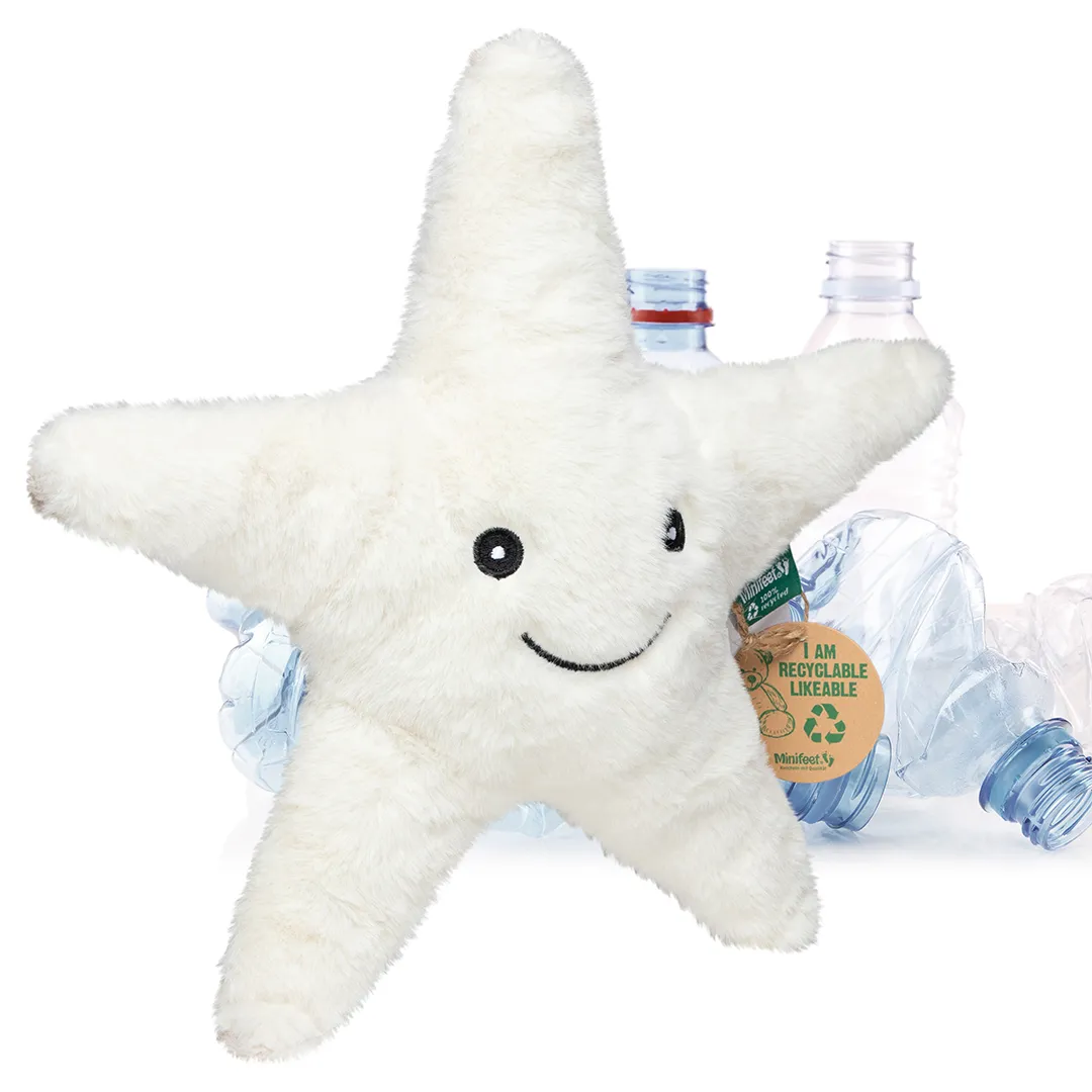 RecycelStern