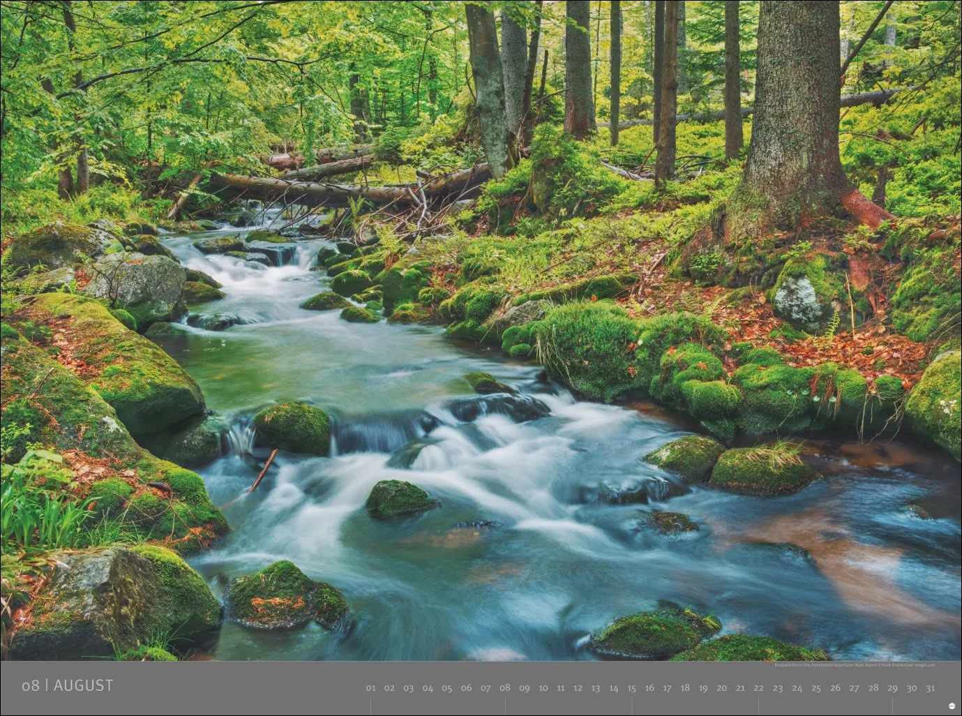 AvH Deutsche Nationalparks Wandkalender 2027 – Bild 9