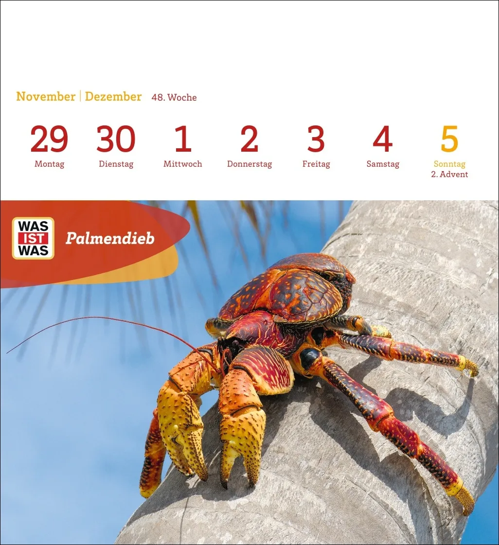 WAS IST WAS Geniale Tiere Postkartenkalender 2027 – Bild 12