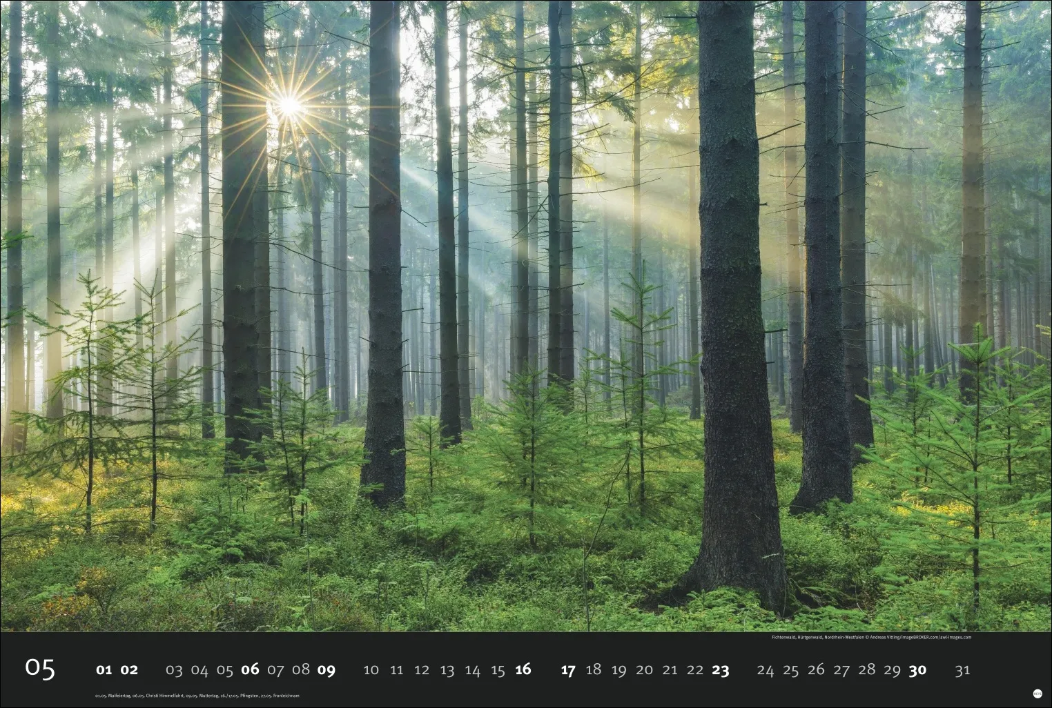 AvH Deutschlands Naturparadiese Wandkalender 2027 – Bild 6