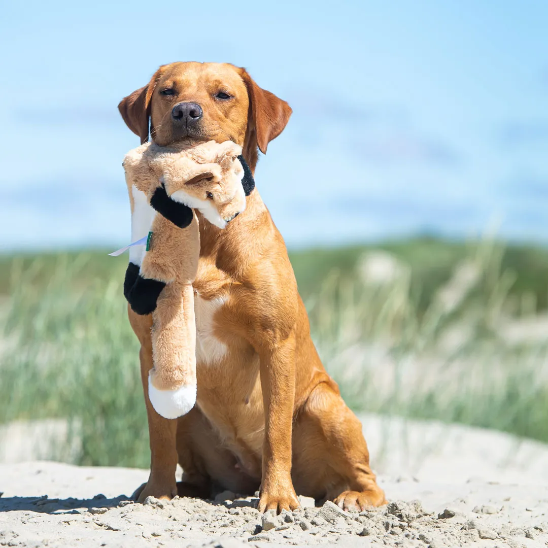 Hundespielzeug RecycelFuchs, beige – Bild 7