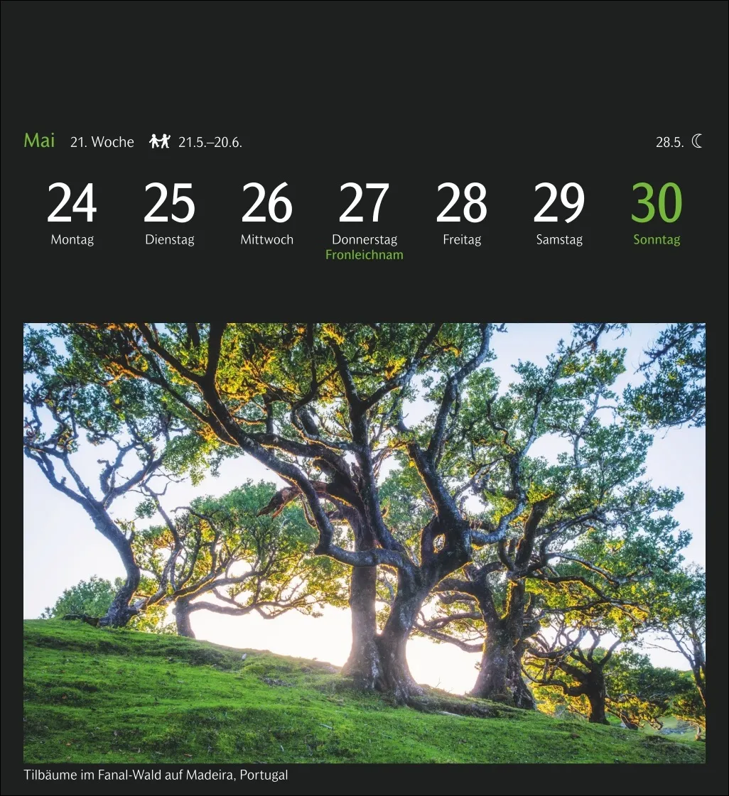 GEO Magische Natur Postkartenkalender 2027 – Bild 2