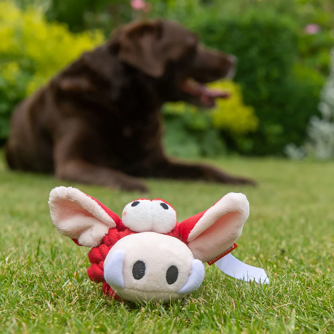 Hundespielzeug Knotentier Wildschwein, rot – Bild 4