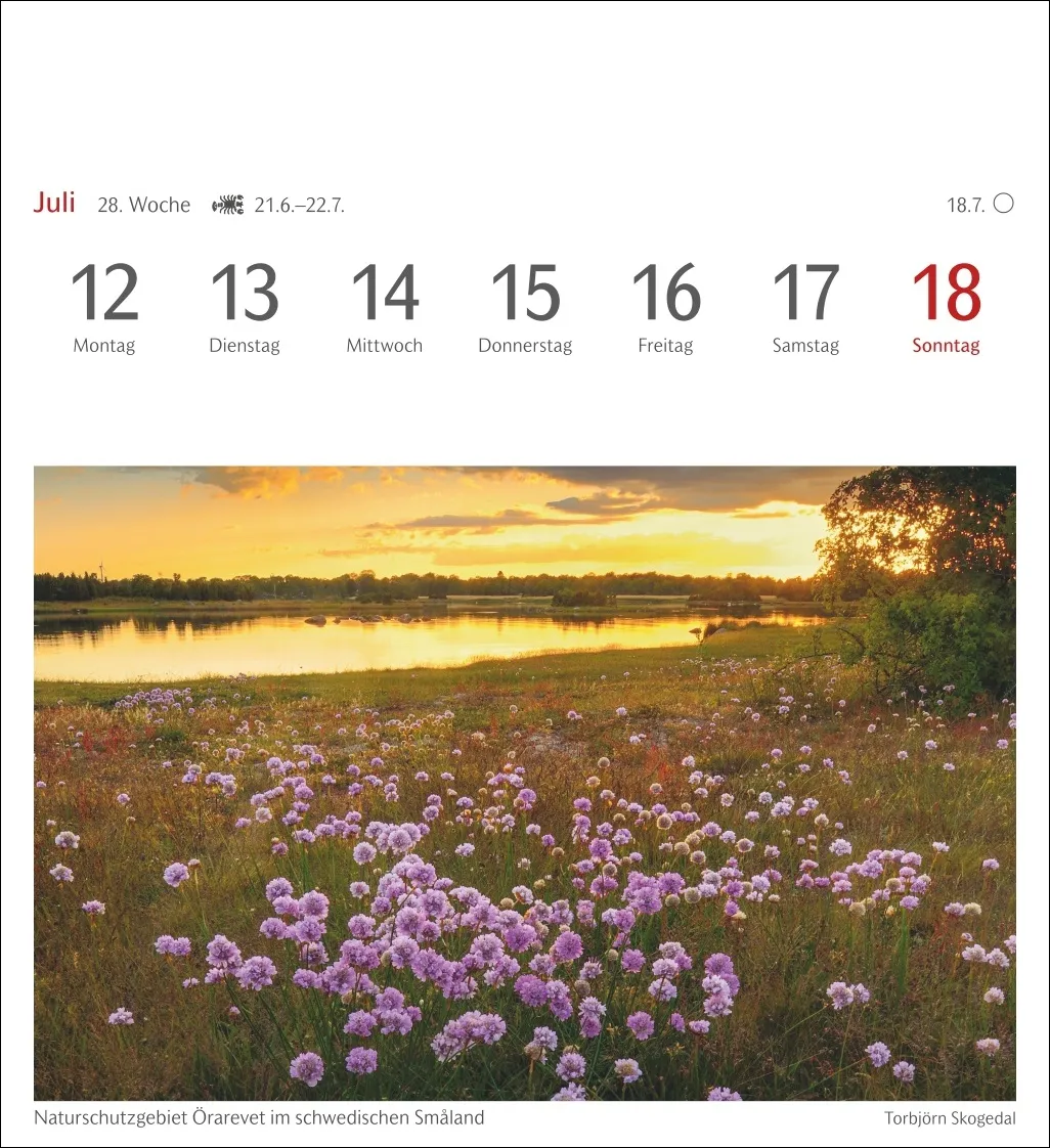 Lichtblicke Postkartenkalender 2027 – Bild 10