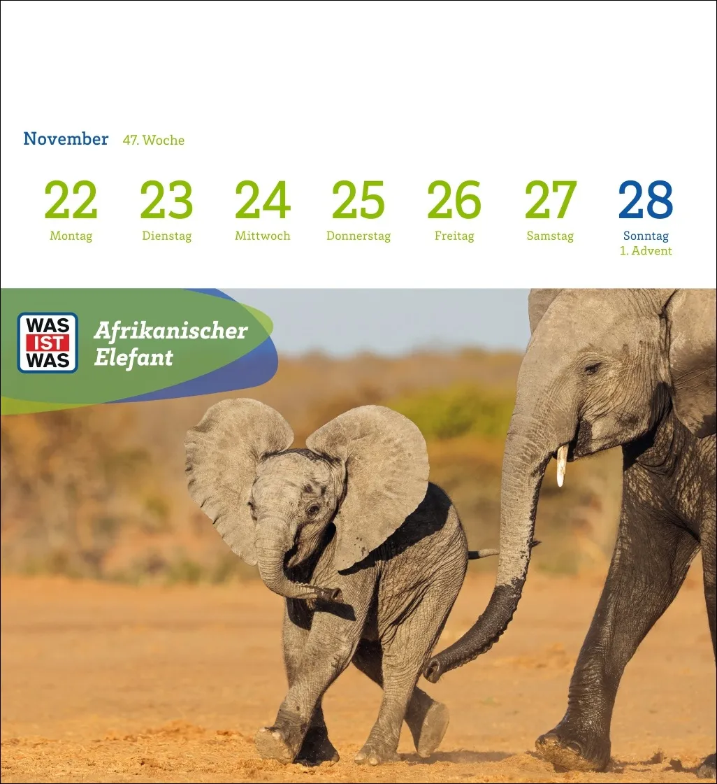 WAS IST WAS Geniale Tiere Postkartenkalender 2027 – Bild 10