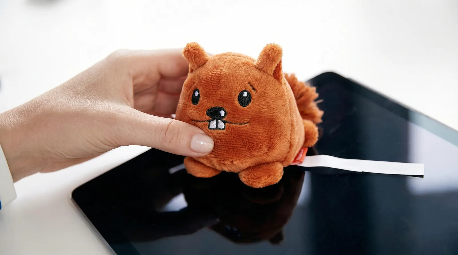 Schmoozies® Eichhörnchen, braun – Bild 6