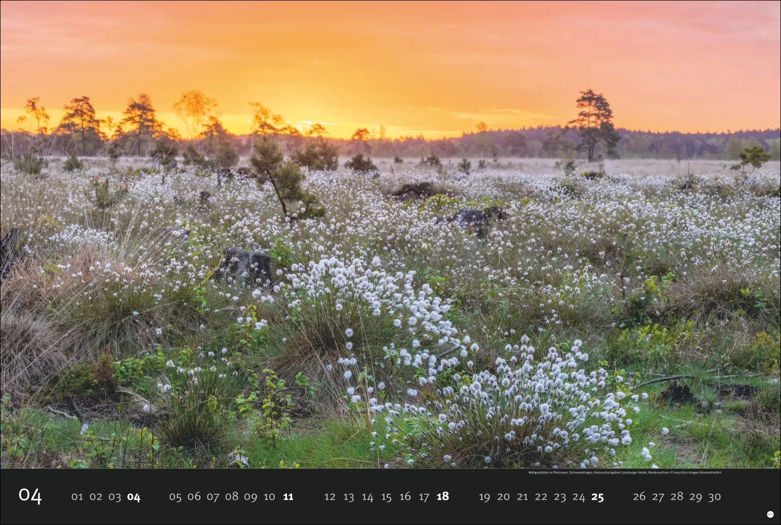 AvH Deutschlands Naturparadiese Wandkalender 2027 – Bild 5