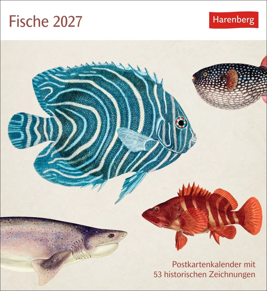 Fische Postkartenkalender 2027