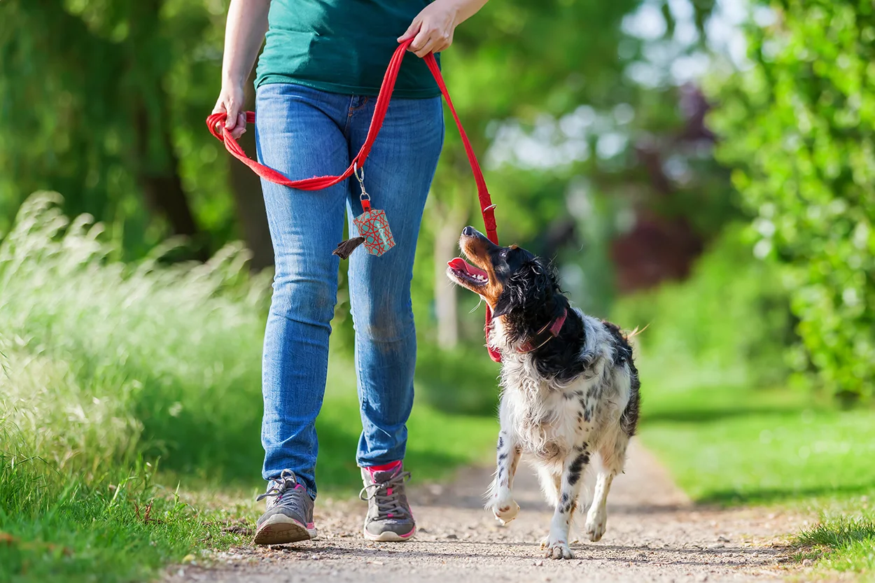 Individueller RPET Hundebeutelspender Pavesave, weiß – Bild 7