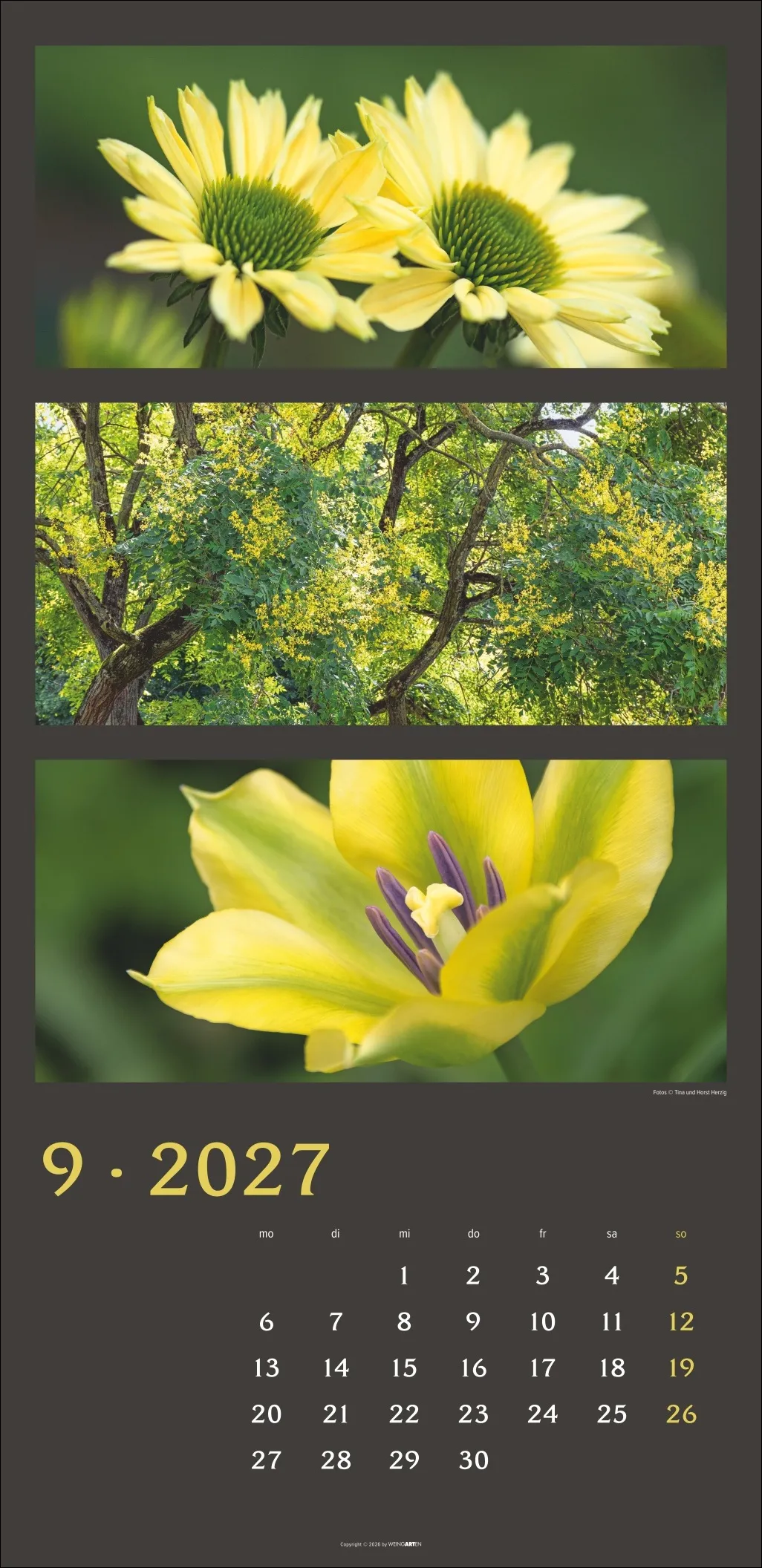 Die Farben der Natur Wandkalender 2027 – Bild 10