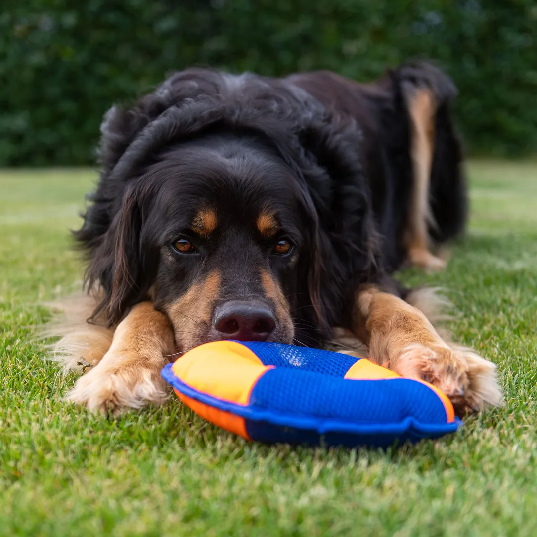Hundespielzeug Flying Disc, orange/blau – Bild 3