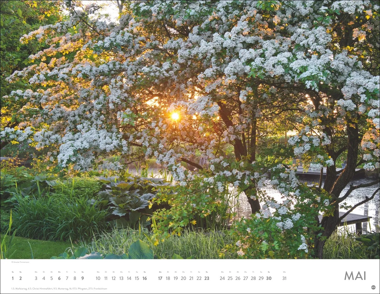 Gartenparadies Posterkalender 2027 – Bild 6