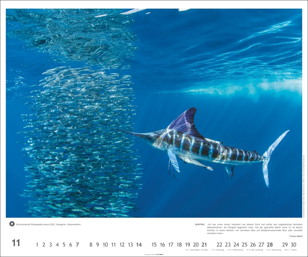 Meisterwerke der Natur Wandkalender 2027 – Bild 12