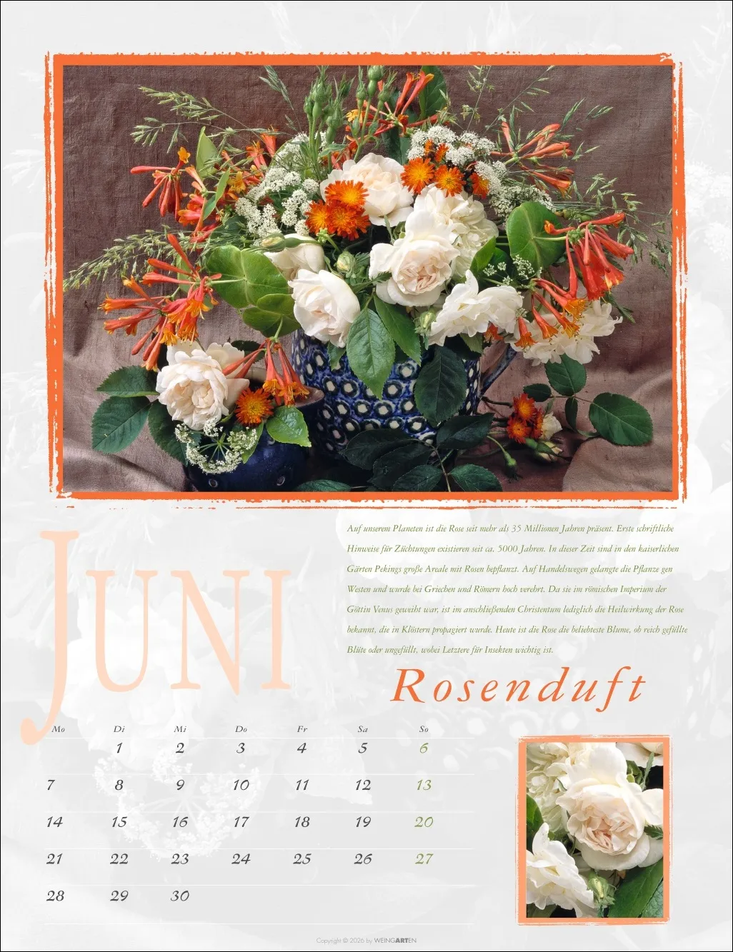 Duftkalender 2027 – Bild 7
