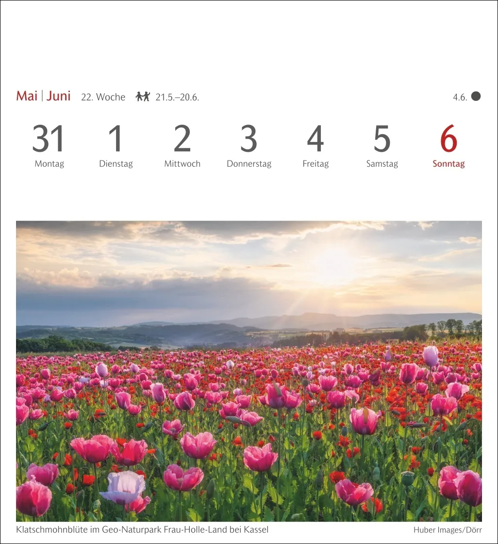 Lichtblicke Postkartenkalender 2027 – Bild 4