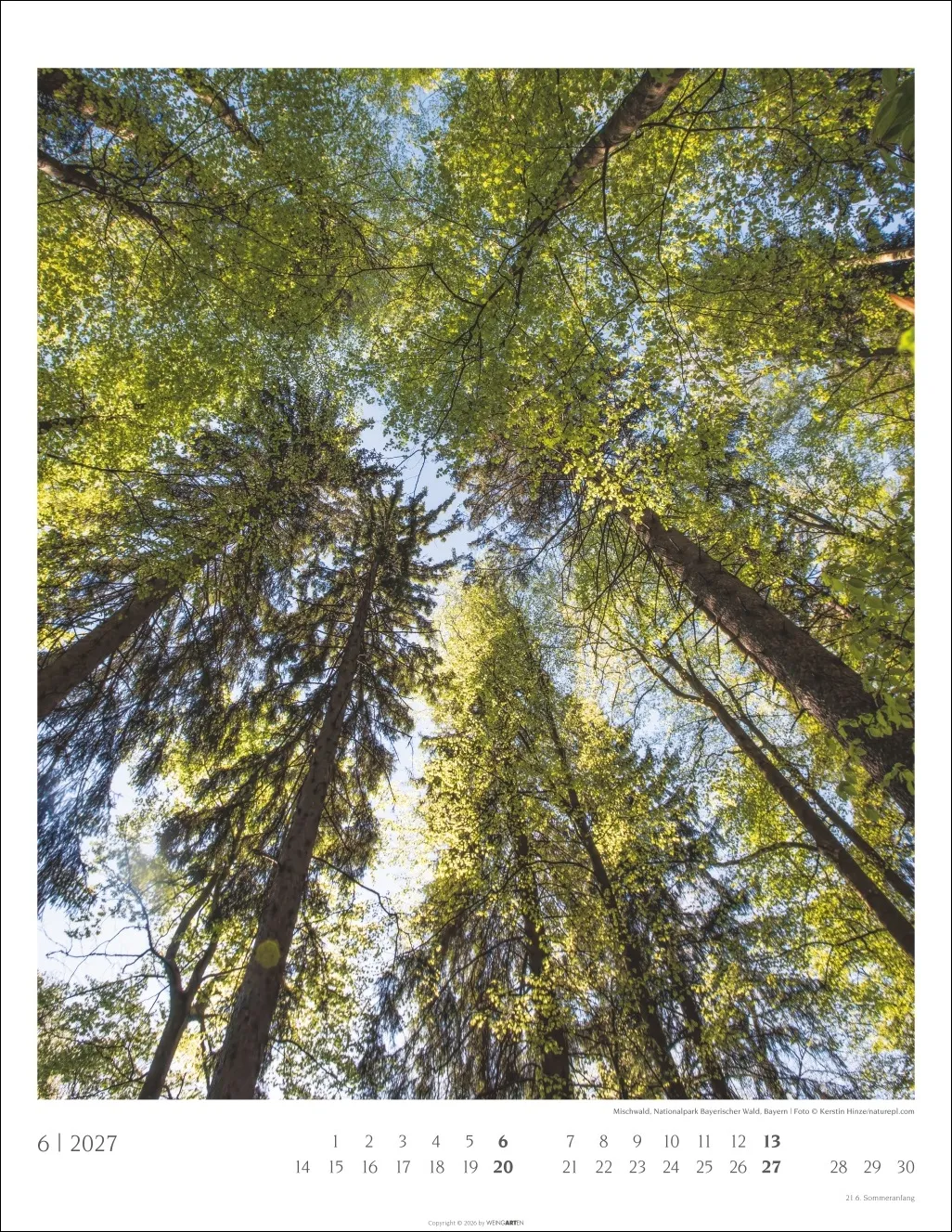 Heimische Wälder Wandkalender 2027 – Bild 7