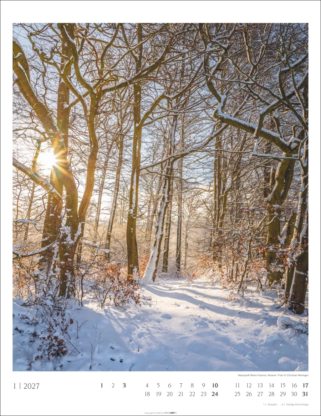 Heimische Wälder Wandkalender 2027 – Bild 2