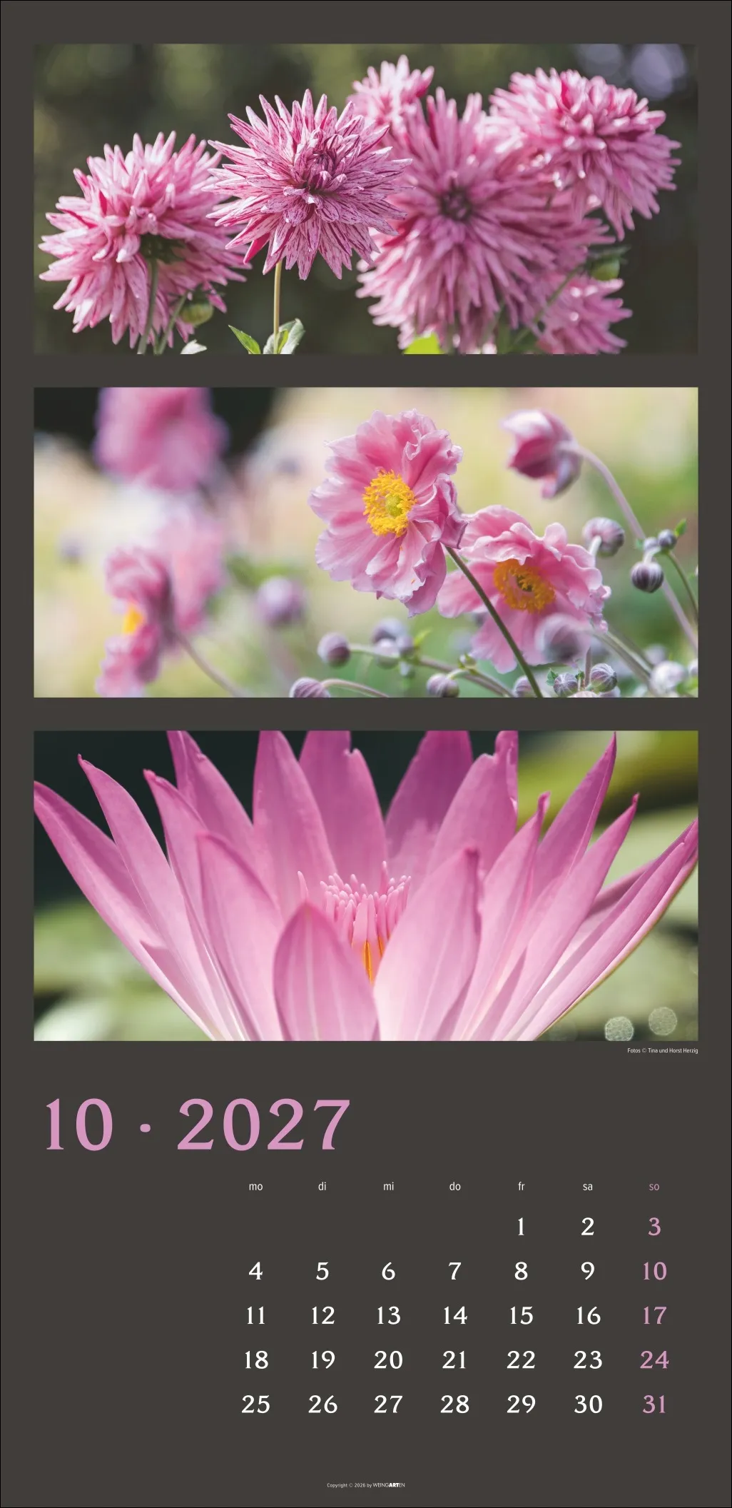 Die Farben der Natur Wandkalender 2027 – Bild 11