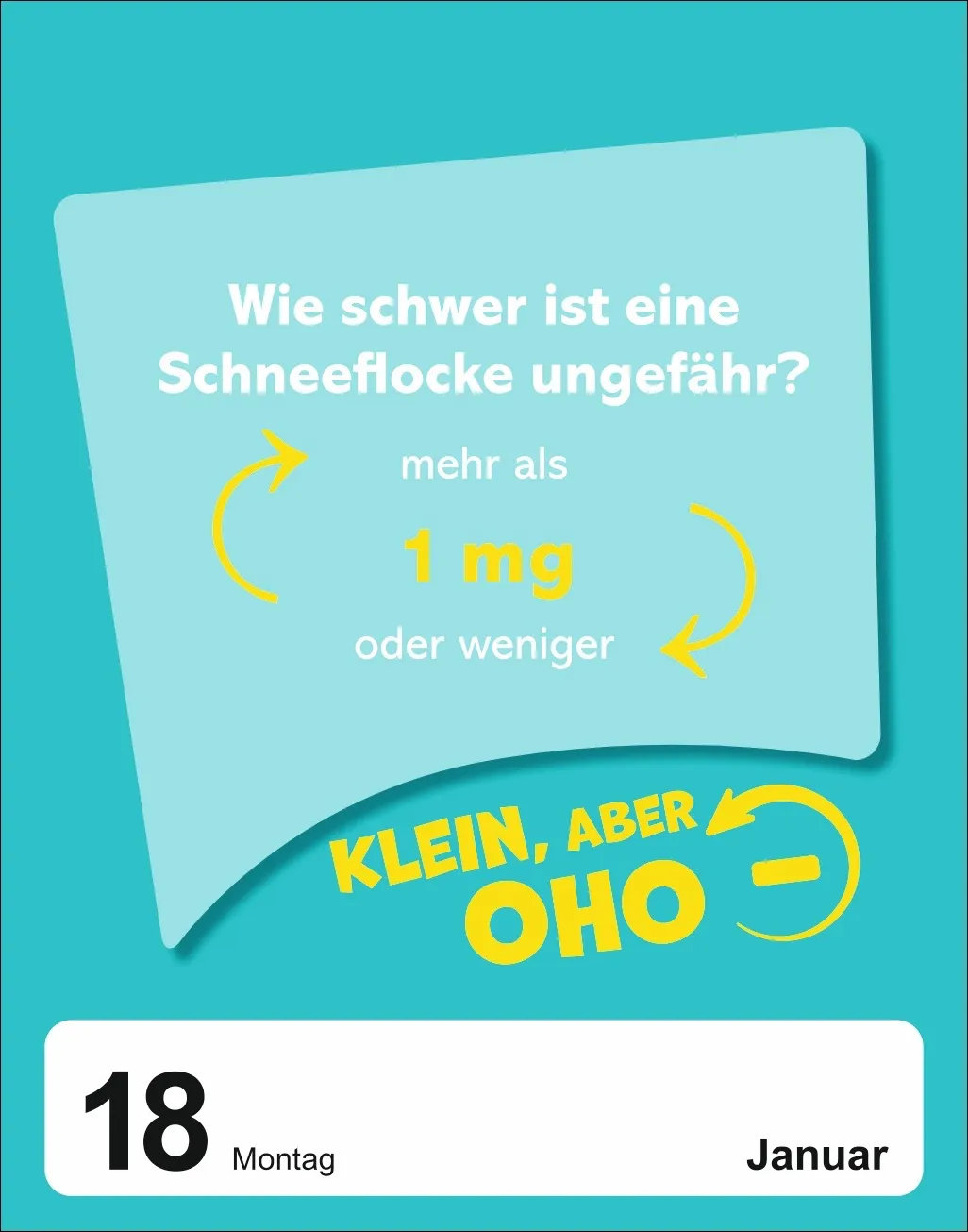 Was schätzt du denn? Tagesabreißkalender 2027 – Bild 6
