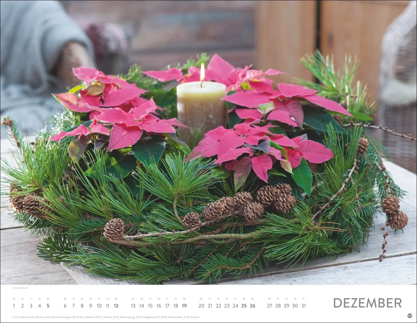 Blumenpracht Posterkalender 2027 – Bild 13