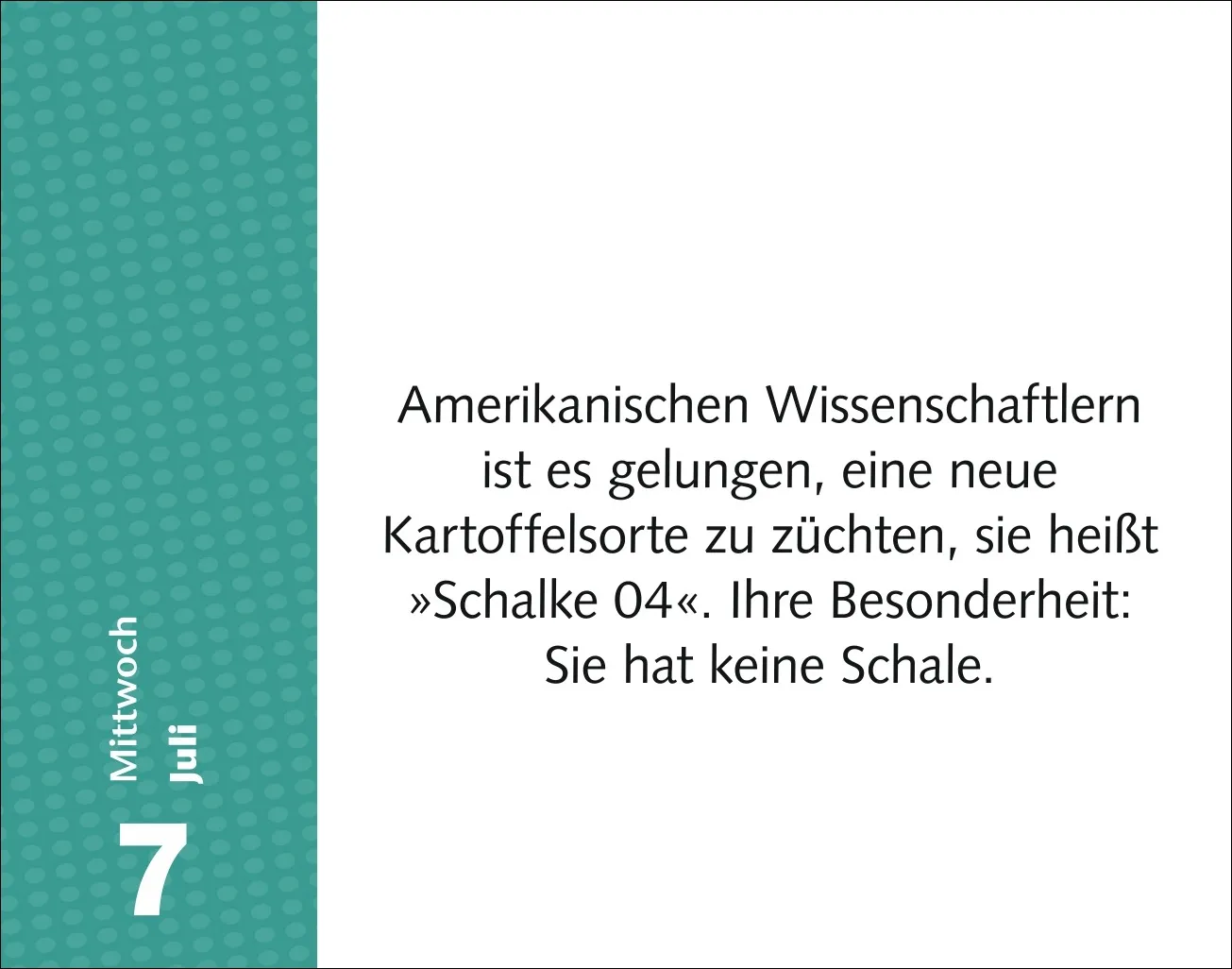 Witzirin Tagesabreißkalender 2027 – Bild 6