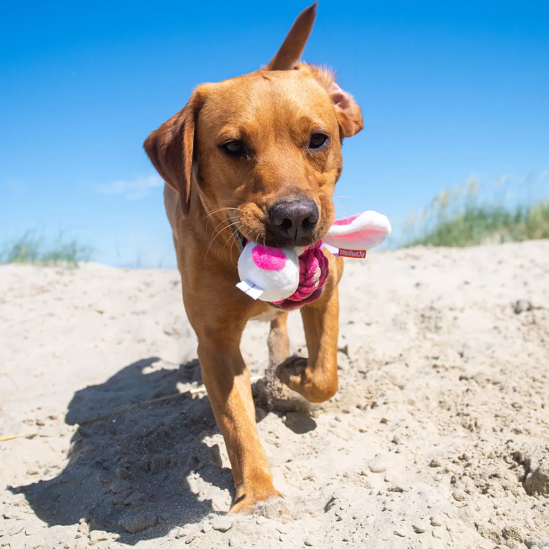 Hundespielzeug Knotentier Hase, pink – Bild 5
