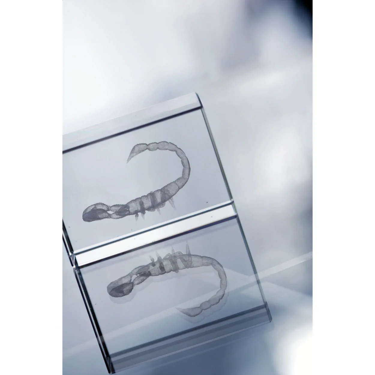 Glas-Quader Macon, transparent – Bild 8