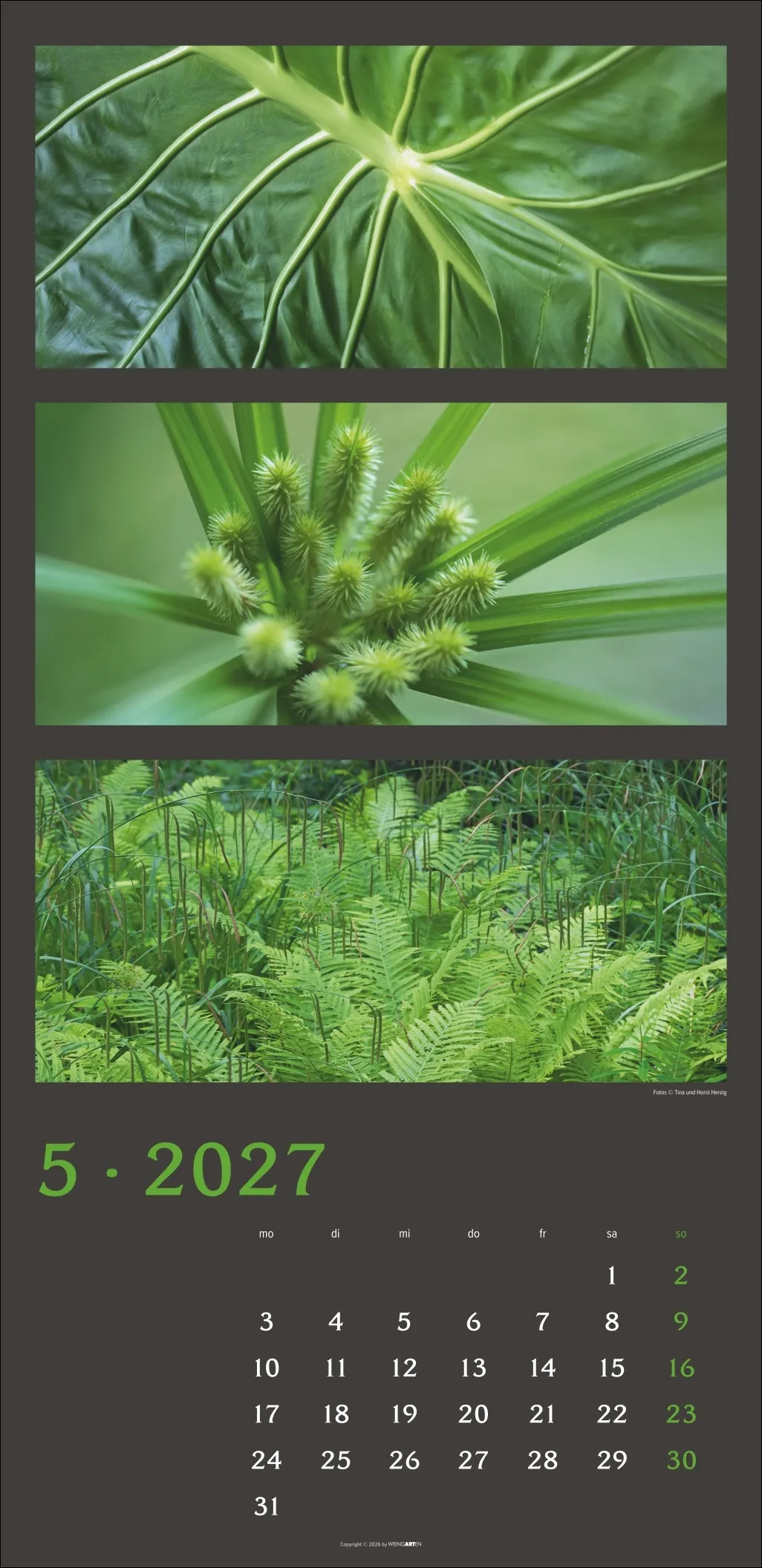 Die Farben der Natur Wandkalender 2027 – Bild 6