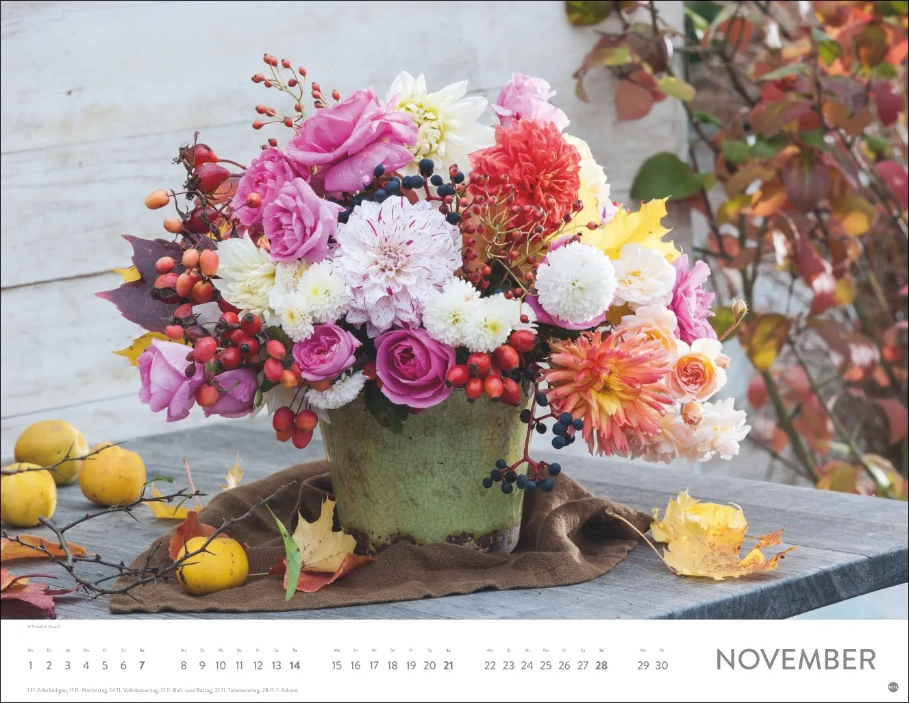 Blumenpracht Posterkalender 2027 – Bild 12