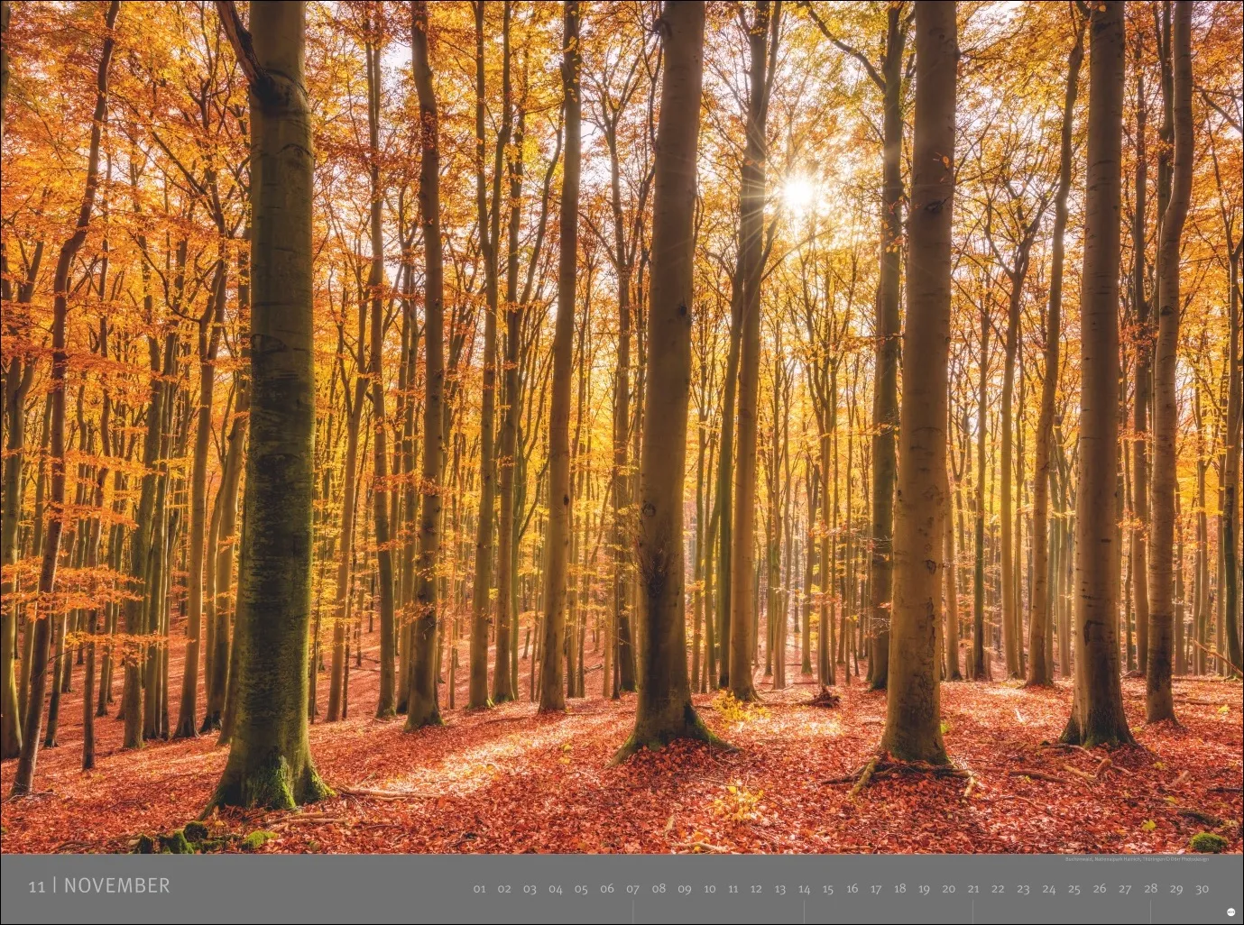 AvH Deutsche Nationalparks Wandkalender 2027 – Bild 12