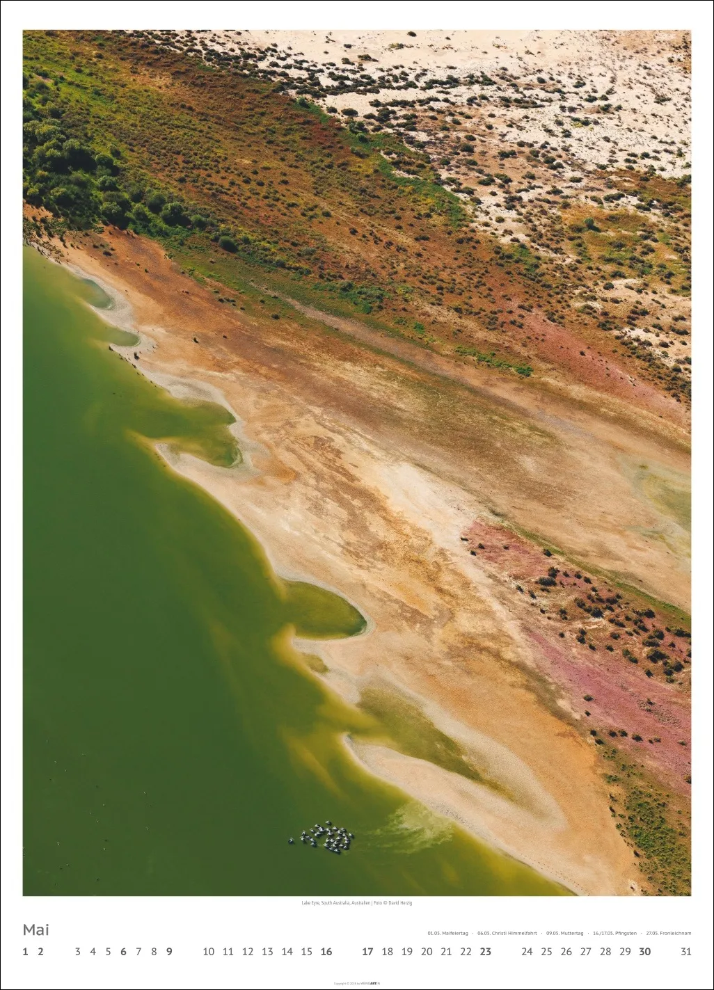 Art of Nature Wandkalender 2027 – Bild 6