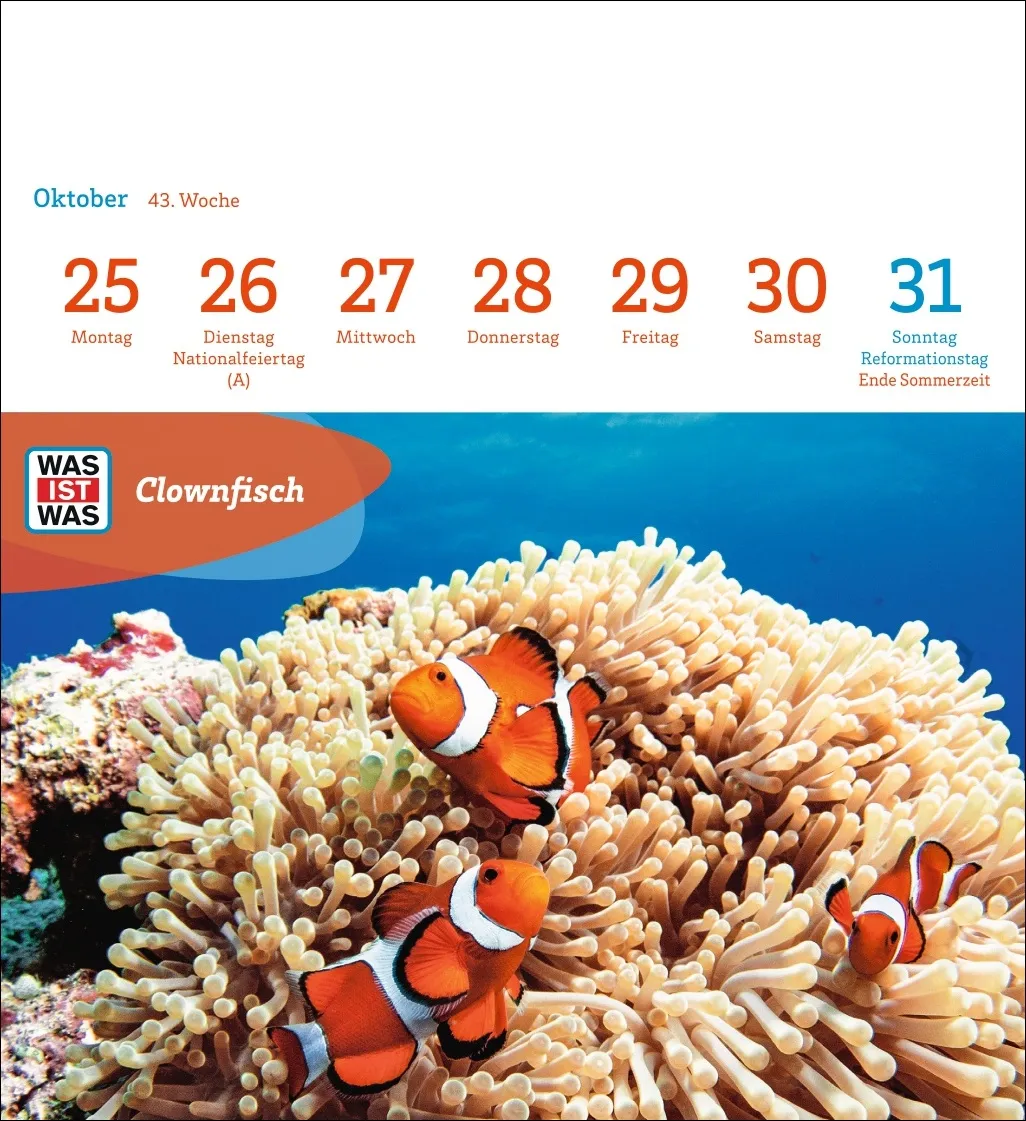 WAS IST WAS Geniale Tiere Postkartenkalender 2027 – Bild 2