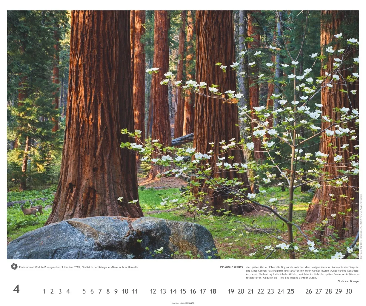 Meisterwerke der Natur Wandkalender 2027 – Bild 5