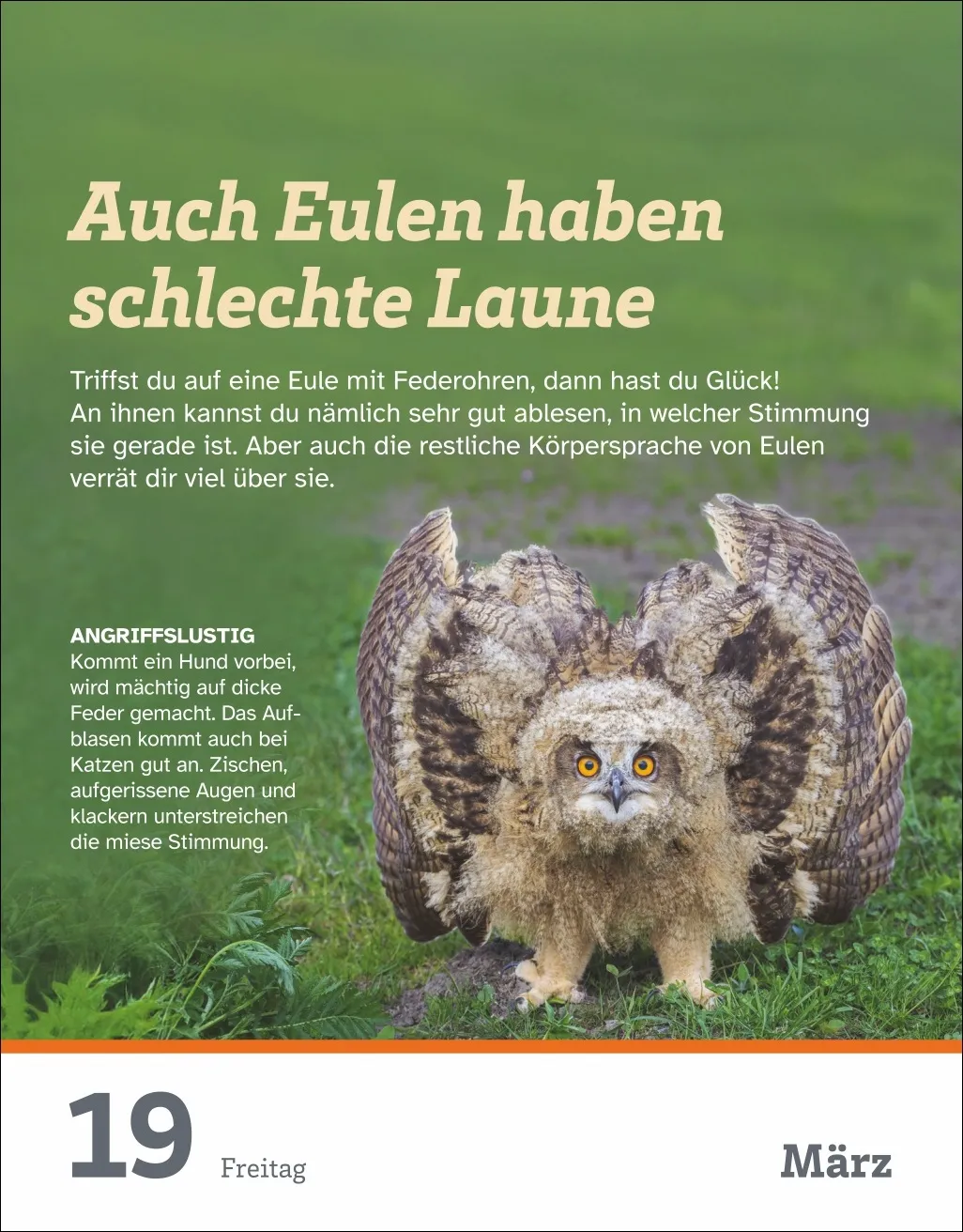 WAS IST WAS Der Kalender Tagesabreißkalender 2027 – Bild 10