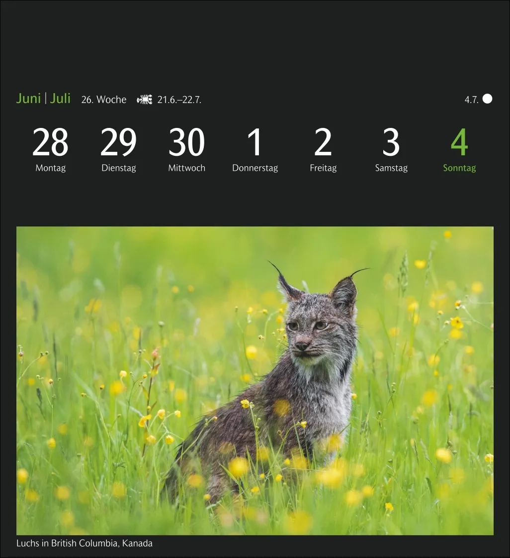GEO Magische Natur Postkartenkalender 2027 – Bild 8