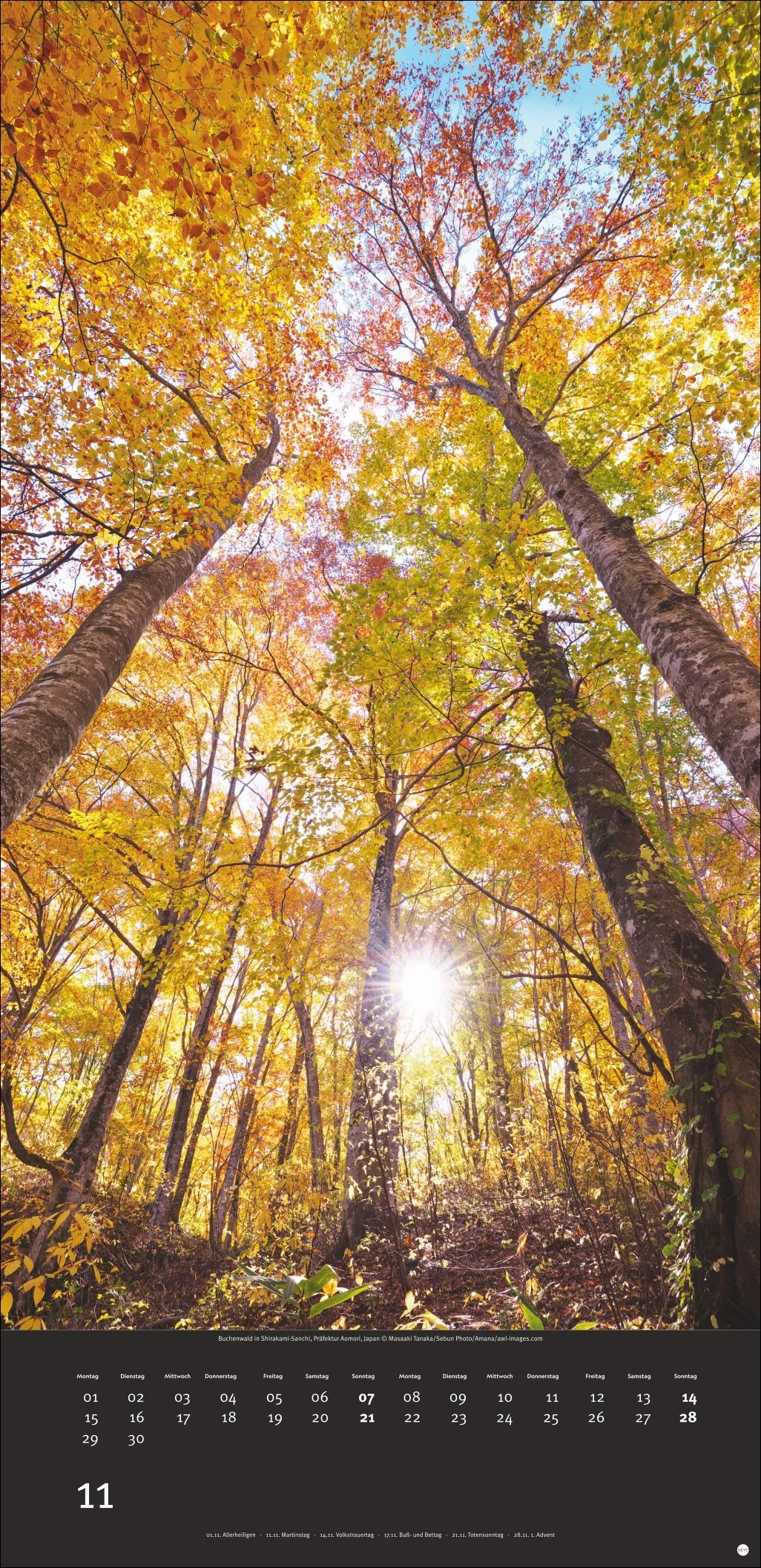 AvH Colourful Nature Wandkalender 2027 – Bild 12
