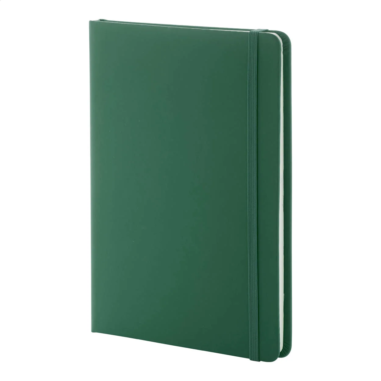 RPU Notizbuch Repuk Line A5