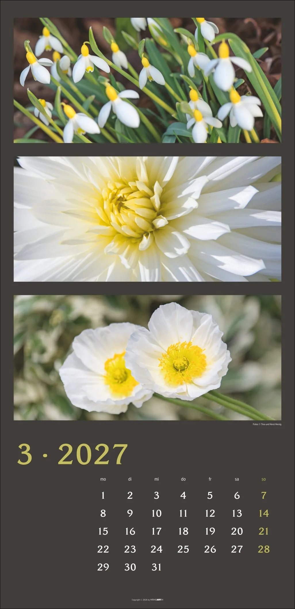 Die Farben der Natur Wandkalender 2027 – Bild 4