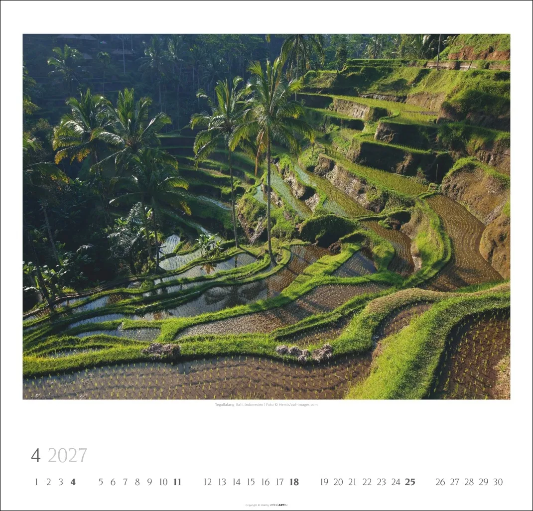 Wunder der Natur Wandkalender 2027 – Bild 5