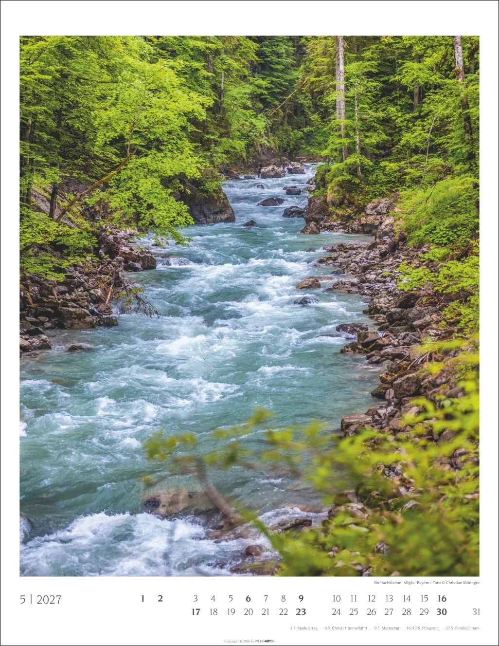 Heimische Wälder Wandkalender 2027 – Bild 6